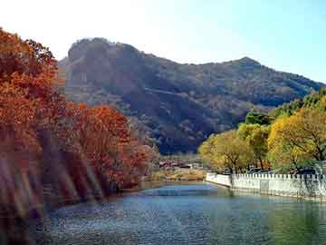 新澳门二四六天天开奖，宝塔山邮票